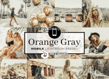 万能经典橙灰色系胶片手机版Lightroom预设 Mobile Lightroom Preset Orange Gray