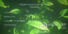 清新雅致叶子飘落自然生态品牌揭示标志LOGO片头 AE模板 AE工程文件Elegant Leaves Logo Reveal V2