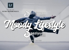 穆迪博客生活记录Lightroom预设 Moody Lifestyle Lightroom Presets