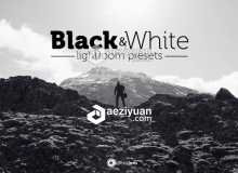 黑白Lightroom预设 Black & White Lightroom Presets