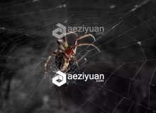 C4D蜘蛛网制作插件 Aescripts SpiderWeb 1.2 For Cinema 4D  Win/Mac