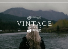 复古电影胶片Lightroom预设 Vintage Film Presets Pack