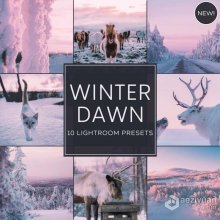 神秘梦幻自然摄影后期LR调色预设 Woodland - Winter Dawn Presets