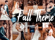 秋季婚礼人像电影胶片Lightroom预设/ACR预设 Fall Lightroom Preset