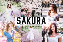 樱花粉彩外拍人像胶片Lightroom预设与APP预设 Sakura Lightroom Presets