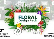 100个绿色花草植物叶子花朵藤蔓视频设计包装AE模板 Videohive Floral Design Pack