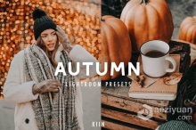 秋季棕色调Insta滤镜/LR预设/手机APP滤镜 6 AUTUMN LIGHTROOM PRESETS