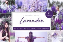 唯美薰衣草色调人像Lightroom预设 Lightroom Presets - Lavender