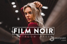 黑暗情绪胶片人像Lightroom预设与移动LR预设 FILM NOIR Pro Lightroom Preset