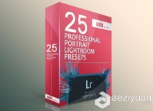 25个专业人像Lightroom的预设 Professional Portrait LR Presets