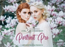 明亮通透时尚人像后期Lightroom预设/APP预设 Portrait Pro Complete Collection