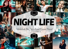 旅拍城市夜景摄影LR预设/手机LR预设Night Life Lightroom Presets