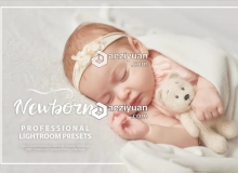 50组新生儿后期修饰调色LR预设 50 Newborn Lightroom Presets