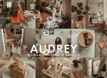 莫兰迪灰色调LR预设/APP调色滤镜 5 AUDREY Mobile Lightroom Presets