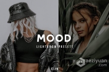 90年代低保和电影情绪LR预设/APP滤镜 MOODY InstaGRAM LIGHTROOM PRESETS