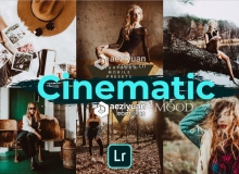 INS网红风格典雅情绪人像LR预设 Cinematic Mood LR Desktop Presets