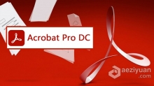 Acrobat Pro DC 2021 for Mac(PDF编辑软件)支持big surv2021.001.20145中文激活版