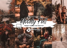 穆迪秋天情绪风景人像LR预设 MOODY FALL LIGHTROOM PRESETS