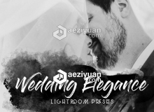 优雅婚礼Lightroom预设下载 Wedding Elegance Lightroom Presets