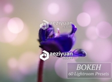 散景光斑Lightroom预设 60 Bokeh Lr Presets