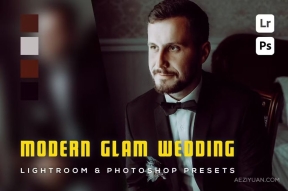 现代魅力复古婚礼LR预设 6 Modern Glam Wedding Lightroom Presets