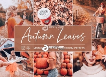 完美秋季人像风景LR预设+手机APP预设 Lightroom Presets Autumn Leaves