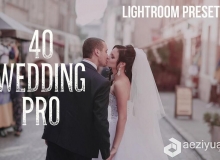 40专业婚礼婚纱Lightroom预设 婚礼摄影师LR预设 40 Wedding Pro Lightroom Presets