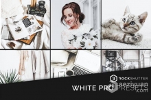 中性灰白色调居家人像产品摄影Lightroom预设/APP预设 WHITE PRO Presets