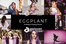 20个紫色调电影色调Lightroom预设/LUTs预设 Eggplant Lightroom Presets & LUTs