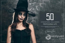 万圣节电影气氛LUT预设及Lightroom预设 50 Atmospheric Halloween LUTs and Presets