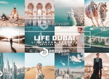 迪拜旅拍复古电影胶片Lightroom预设+手机版APP滤镜 Life Dubai