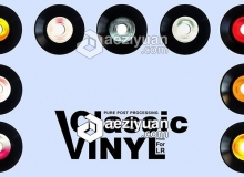 Seim Classic Vinyl经典黑胶Lightroom预设Seim Classic Vinyl Lightroom