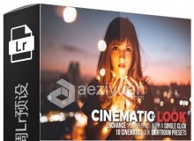 10组电影色调Lightroom预设 10 Cinematic Look Lightroom Presets