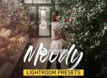 INS博客温暖时尚胶片Lightroom预设 Moody Lightroom Presets Bundle