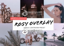 柔和粉红玫瑰色调人像Lightroom预设+手机版预设 Rosy Overlay Lightroom Preset