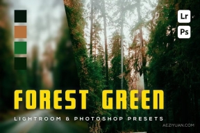 森林绿电影风光后期调色LR预设 6 Forest Green Lighroom and Photoshop Presets