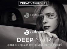 古典时代低调大气黑白Lightroom预设 Deep Noir B&W Lightroom Presets