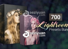 700组浪漫幻想系列Lightroom预设合集700 Amazing Lightroom Presets Bundle