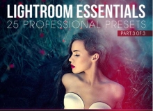 25个基础Lightroom预设—第3部分25 Essential Lightroom Presents - Part 3