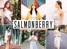 旅拍温暖奶油人像LR预设+移动APP预设Salmonberry Lightroom Presets