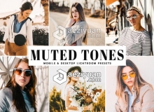 时尚人像温暖胶片LR预设+手机版lr预设 Muted Tones Lightroom Presets