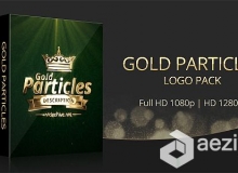 优雅金色粒子汇聚logo展示AE模版 Videohive AGold Particles Logo Pack