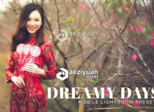 梦幻色彩增强手机版LR预设 Dreamy Days Lightroom Mobile Presets