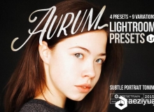 时装,人像暖色调Lightroom预设 Aurum Portrait Lightroom Presets