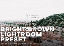 旅拍城市风景棕色调Lightroom预设 Bright and Brown Lightroom Preset