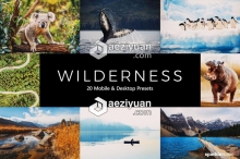 背包客旅拍风光胶片Lightroom预设/APP预设/LUTs预设 Wilderness LR Presets+LUTs