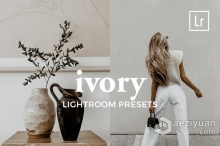 Graace Studio工作室-灰白棕色人像胶片LR预设/APP预设 Lightroom Presets IVORY