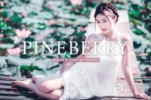 菠萝蜜胶片感人像Lightroom预设 Pineberry Pro Lightroom Presets