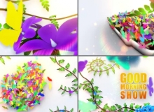 花开蝴蝶飞舞LOGO片头动画AE模板 Videohive Morning Theme Package