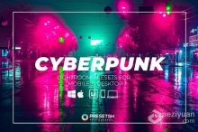 赛博朋克城市风光调色Lightroom预设 Cyberpunk Lightroom Presets